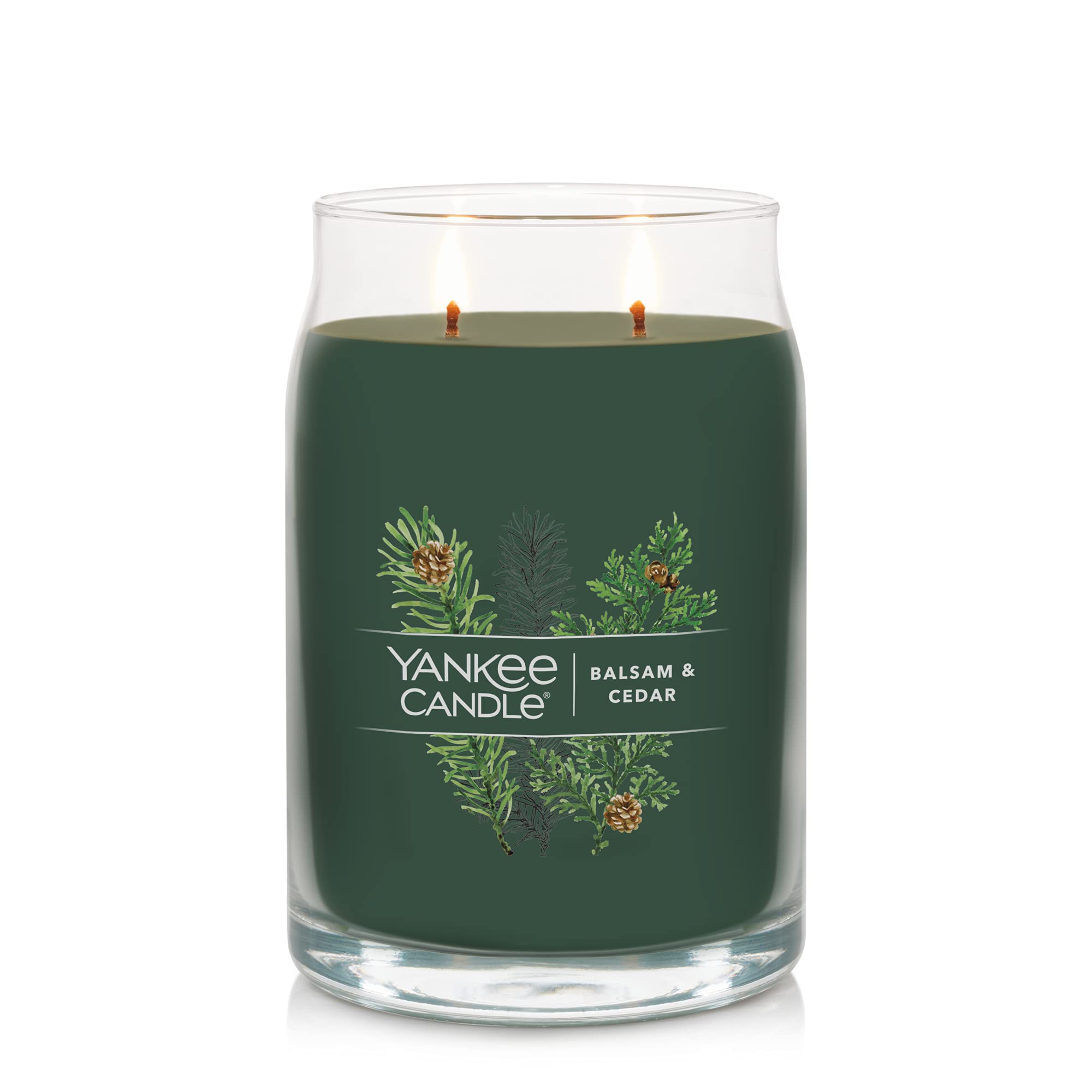 Amazon.com: Yankee Candle Balsam & Cedar Scented Signature